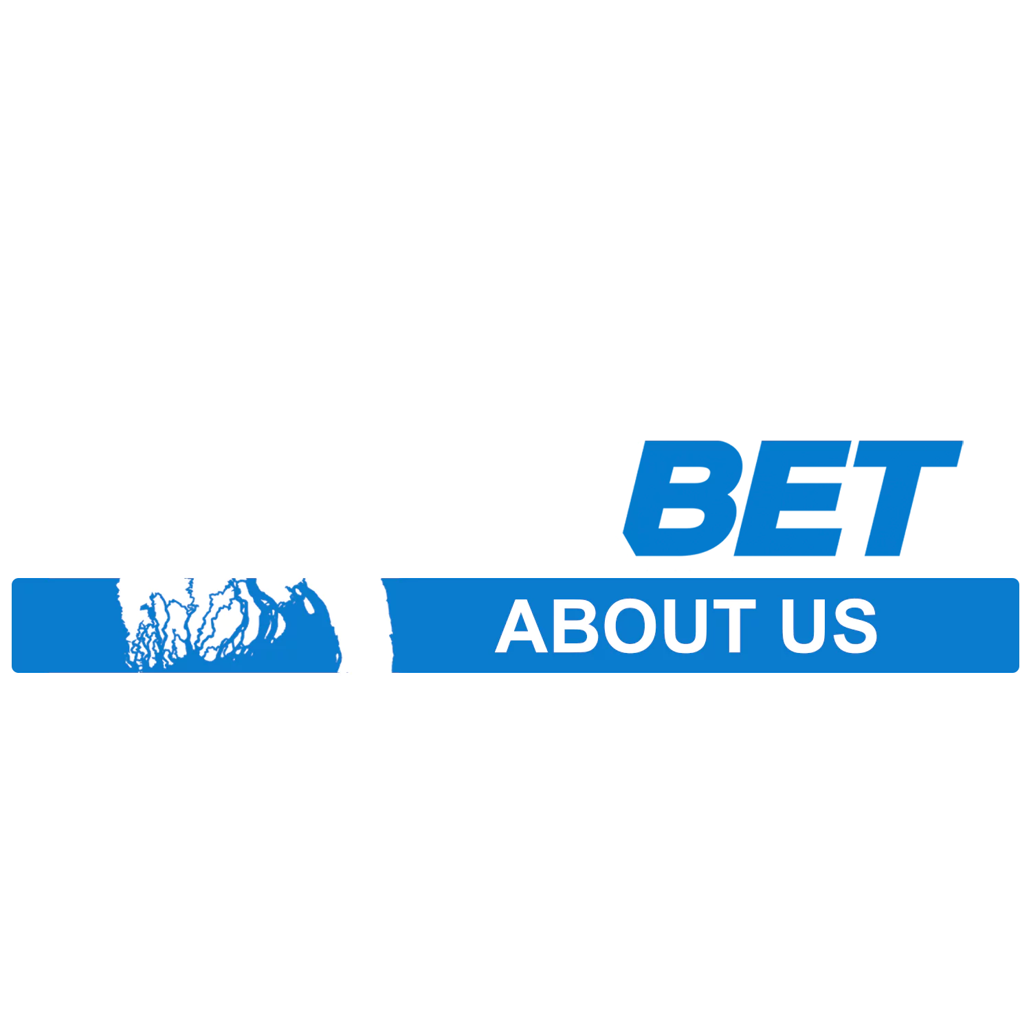 about 1xbet